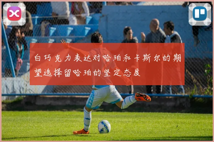 白巧克力表达对哈珀和卡斯尔的期望选择留哈珀的坚定态度